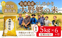 【令和７年産】佐渡島産&nbsp;特別栽培米こしひかり「大野郷の米」精米5kg×6回&nbsp;定期お届けコース