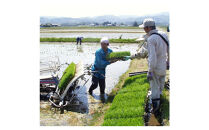 佐渡相川の酒販店限定販売「金の熟成酒」720ml