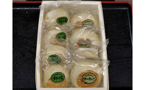 【8個入】もっちり食感！信濃おやき幸庵の天然酵母おやき　野沢菜・きのこセット