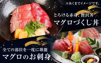 【近大マグロ&nbsp;1本丸ごとお届け】鹿児島県&nbsp;奄美大島産&nbsp;近大マグロ&nbsp;1本40kg前後&nbsp;養殖クロマグロ&nbsp;赤身&nbsp;大トロ&nbsp;中トロ&nbsp;近畿大学