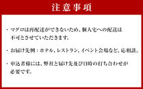 【近大マグロ&nbsp;1本丸ごとお届け】鹿児島県&nbsp;奄美大島産&nbsp;近大マグロ&nbsp;1本40kg前後&nbsp;養殖クロマグロ&nbsp;赤身&nbsp;大トロ&nbsp;中トロ&nbsp;近畿大学