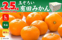 【年末発送指定】【12月25日～12月29日配送】みかん Lサイズ 秀品 箱込 2.5kg (内容量約 2.3kg) 有田みかん 和歌山県産 産地直送 贈答用 ［みかんの会］