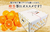 【年末発送指定】【12月25日～12月29日配送】みかん Lサイズ 秀品 箱込 2.5kg (内容量約 2.3kg) 有田みかん 和歌山県産 産地直送 贈答用 ［みかんの会］