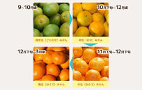 【年末発送指定】【12月25日～12月29日配送】みかん Lサイズ 秀品 箱込 2.5kg (内容量約 2.3kg) 有田みかん 和歌山県産 産地直送 贈答用 ［みかんの会］