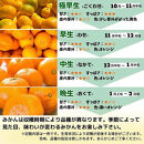 【年末発送指定】【12月25日～12月29日配送】みかん Lサイズ 秀品 箱込 5kg (内容量約 4.4kg) 有田みかん 和歌山県産 産地直送 贈答用 ［みかんの会］