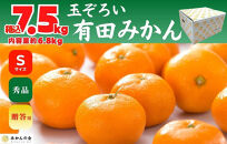 【年末発送指定】【12月25日～12月29日配送】みかん&nbsp;Sサイズ&nbsp;秀品&nbsp;箱込&nbsp;7.5kg&nbsp;(内容量約&nbsp;6.8kg)&nbsp;有田みかん&nbsp;和歌山県産&nbsp;産地直送&nbsp;贈答用&nbsp;［みかんの会］