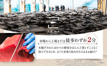 粗挽きまぐろ&nbsp;100g×5パック《先行予約》［8月から順次発送］