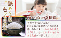 ［お米の定期便／全6回］和歌山県産&nbsp;米&nbsp;にじのきらめき計30kg&nbsp;(5kg×全6回)&nbsp;2025年産［SL54］