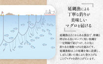 粗挽きまぐろのメンチカツ&nbsp;50g×5個入り×3パック