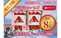 先行予約『近江富士いちご』選りすぐり！華の美味しいイチゴ定期便【9~15粒2トレイ×4回】