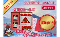 先行予約『近江富士いちご』選りすぐり！華の嬉しいイチゴ＆ジャムセット【イチゴ9~15粒1トレイ　ジャム2瓶】