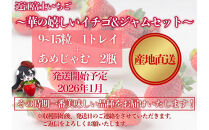先行予約『近江富士いちご』選りすぐり！華の嬉しいイチゴ＆ジャムセット【イチゴ9~15粒1トレイ　ジャム2瓶】