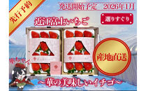 先行予約『近江富士いちご』選りすぐり！華の美味しいイチゴ【9~15粒2トレイ】