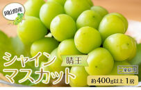 岡山県産&nbsp;ぶどう&nbsp;&nbsp;2026年発送&nbsp;ご家庭用&nbsp;シャインマスカット&nbsp;晴王&nbsp;約400g×1房&nbsp;ブドウ&nbsp;フルーツ&nbsp;果物
