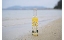 柑橘すだいだいセット1（シロップ1本＆マーマレードジャム2個）　大津島　無添加