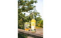 柑橘すだいだいセット1（シロップ1本＆マーマレードジャム2個）　大津島　無添加