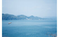 柑橘すだいだいセット1（シロップ1本＆マーマレードジャム2個）　大津島　無添加