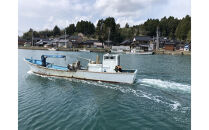 沢田水産　能登かき　むき身　１ｋｇ（箱入り）　加熱調理用