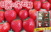 ひみつ（日光）の宝石箱&nbsp;4種類の苺の食べ比べ&nbsp;セット&nbsp;【2026年1月初旬より順次発送】&nbsp;｜フルーツ&nbsp;いちご&nbsp;苺&nbsp;期間限定&nbsp;とちおとめ&nbsp;スカイベリー&nbsp;とちあいか&nbsp;ミルキーベリー&nbsp;栃木&nbsp;産地直送&nbsp;産直