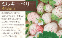 ひみつ（日光）の宝石箱&nbsp;4種類の苺の食べ比べ&nbsp;セット&nbsp;【2026年1月初旬より順次発送】&nbsp;｜フルーツ&nbsp;いちご&nbsp;苺&nbsp;期間限定&nbsp;とちおとめ&nbsp;スカイベリー&nbsp;とちあいか&nbsp;ミルキーベリー&nbsp;栃木&nbsp;産地直送&nbsp;産直