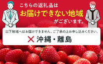 （4か月連続定期便/計4回）だいもん苺園の人気のいちご4種定期便&nbsp;【2026年1月初旬より順次発送】&nbsp;｜フルーツ&nbsp;いちご&nbsp;苺&nbsp;期間限定&nbsp;定期便&nbsp;とちおとめ&nbsp;スカイベリー&nbsp;とちあいか&nbsp;ミルキーベリー&nbsp;栃木&nbsp;産地直送&nbsp;産直