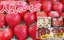 （4か月連続定期便/計4回）だいもん苺園の人気のいちご4種定期便&nbsp;【2026年1月初旬より順次発送】&nbsp;｜フルーツ&nbsp;いちご&nbsp;苺&nbsp;期間限定&nbsp;定期便&nbsp;とちおとめ&nbsp;スカイベリー&nbsp;とちあいか&nbsp;ミルキーベリー&nbsp;栃木&nbsp;産地直送&nbsp;産直