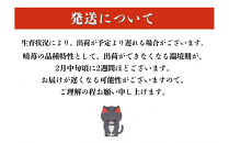 かもめファーム&nbsp;晴苺&nbsp;化粧箱&nbsp;400g（9～15粒）岡山県産&nbsp;いちご&nbsp;秀品