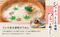 讃岐そうめん80人前（400ｇ×20袋）
