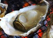 【佐渡加茂湖産】 一年牡蠣のカンカン焼き（殻付き牡蠣約2kg）