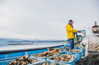 【佐渡加茂湖産】 一年牡蠣のカンカン焼き（殻付き牡蠣約2kg）