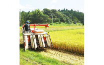 【ふるさと納税】お米　令和7年産　出雲コシヒカリ5k×２袋