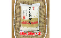 【ふるさと納税】お米　令和7年産　出雲コシヒカリ5k×3袋