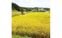 【ふるさと納税】お米　令和7年産　出雲きぬむすめ5kg