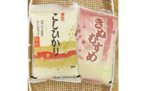 【ふるさと納税】お米　令和7年産　出雲コシヒカリ5kgと出雲きぬむすめ5kg