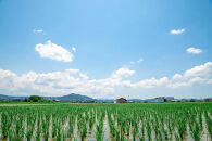 和歌山県産きぬむすめ 5kg