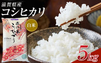 【令和7年産】近江米コシヒカリ白米5kg