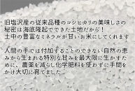 令和7年産　南魚沼塩沢産コシヒカリ　８割減特別栽培米　白米５kg