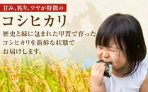 【令和7年産】近江米コシヒカリ玄米30kg