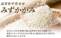 【令和7年産】近江米みずかがみ白米10kg（5kg×2袋）