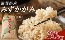 【令和7年産】近江米みずかがみ玄米30kg
