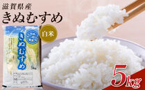 【令和7年産】近江米きぬむすめ白米5kg
