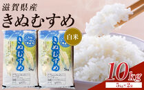 【ポイント交換専用】【令和7年産】近江米きぬむすめ白米10kg（5kg×2袋）