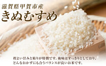【令和7年産】近江米きぬむすめ玄米30kg