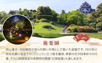 岡山後楽園・岡山県立美術館・岡山県立博物館ペア入園入館券【後楽園&nbsp;観光&nbsp;美術館&nbsp;博物館&nbsp;入場券&nbsp;ペア入場券&nbsp;ペア入館券&nbsp;おすすめ&nbsp;人気&nbsp;入館券】