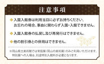 岡山後楽園・岡山県立美術館・岡山県立博物館ペア入園入館券【後楽園&nbsp;観光&nbsp;美術館&nbsp;博物館&nbsp;入場券&nbsp;ペア入場券&nbsp;ペア入館券&nbsp;おすすめ&nbsp;人気&nbsp;入館券】