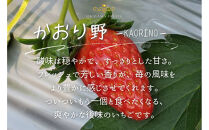 かもめファーム&nbsp;かおり野&nbsp;化粧箱&nbsp;400g（9～15粒）岡山県産&nbsp;いちご&nbsp;秀品