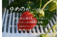 かもめファーム&nbsp;ゆめのか&nbsp;化粧箱&nbsp;400g（9～15粒）岡山県産&nbsp;いちご&nbsp;秀品