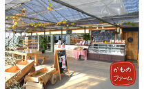 かもめファーム&nbsp;ゆめのか&nbsp;化粧箱&nbsp;400g（9～15粒）岡山県産&nbsp;いちご&nbsp;秀品