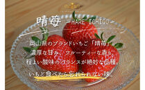 かもめファーム&nbsp;完熟いちご&nbsp;晴苺&nbsp;黒トレー260g×2&nbsp;岡山県産&nbsp;いちご