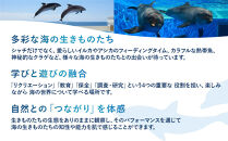 神戸須磨シーワールド入場券　3枚セット（有効期限：2026年4月1日～9月30日）
